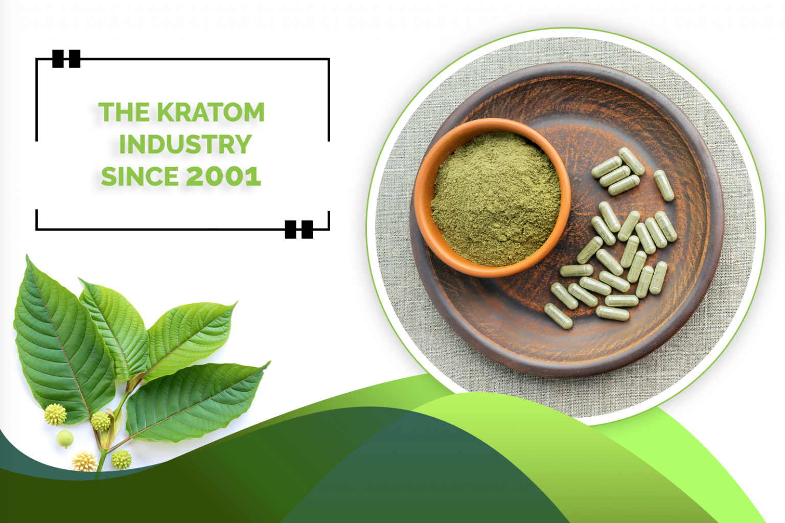 Benchmark for Kratom manufacturing and products in the US