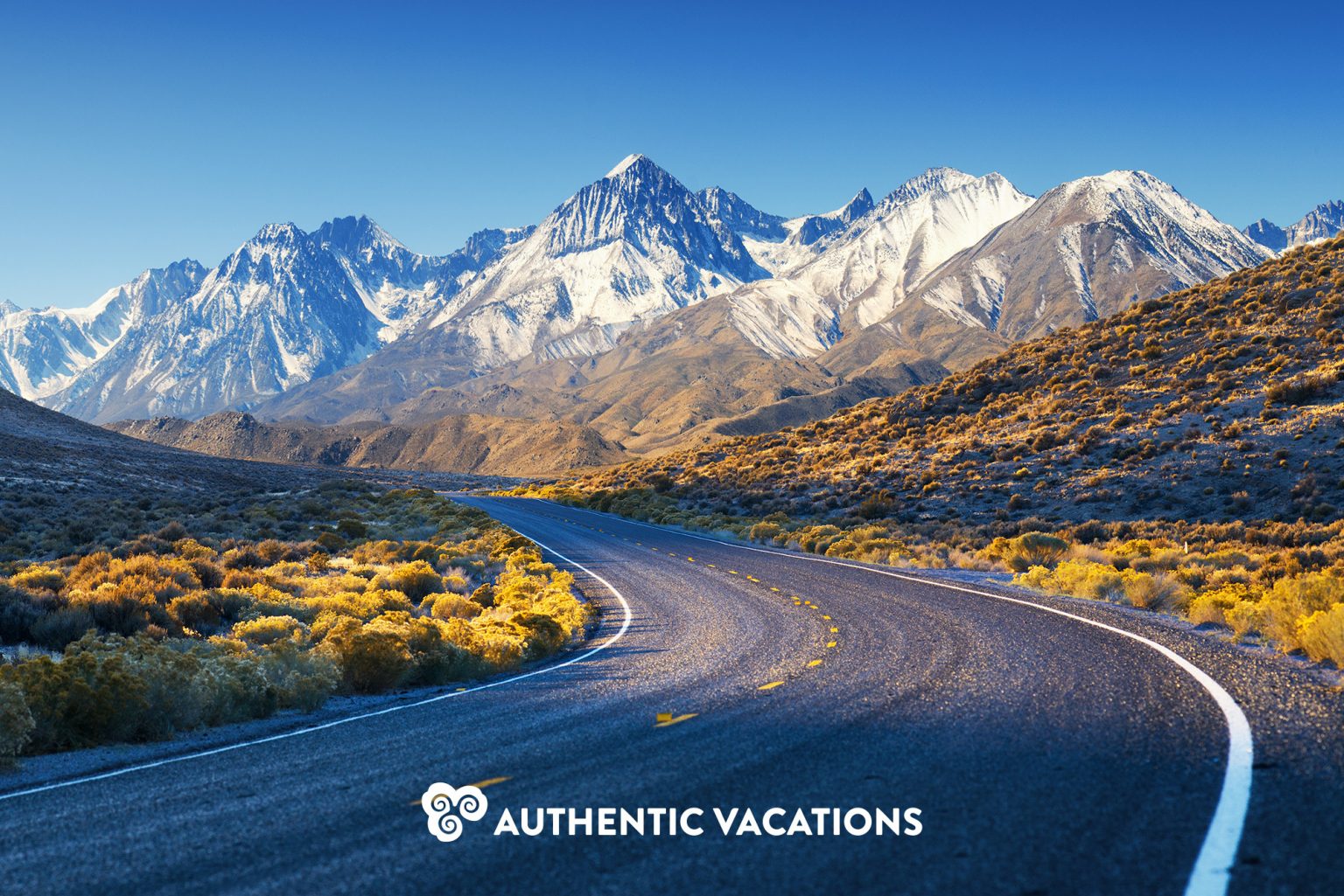 GOOD NEWS for Travel Advisors