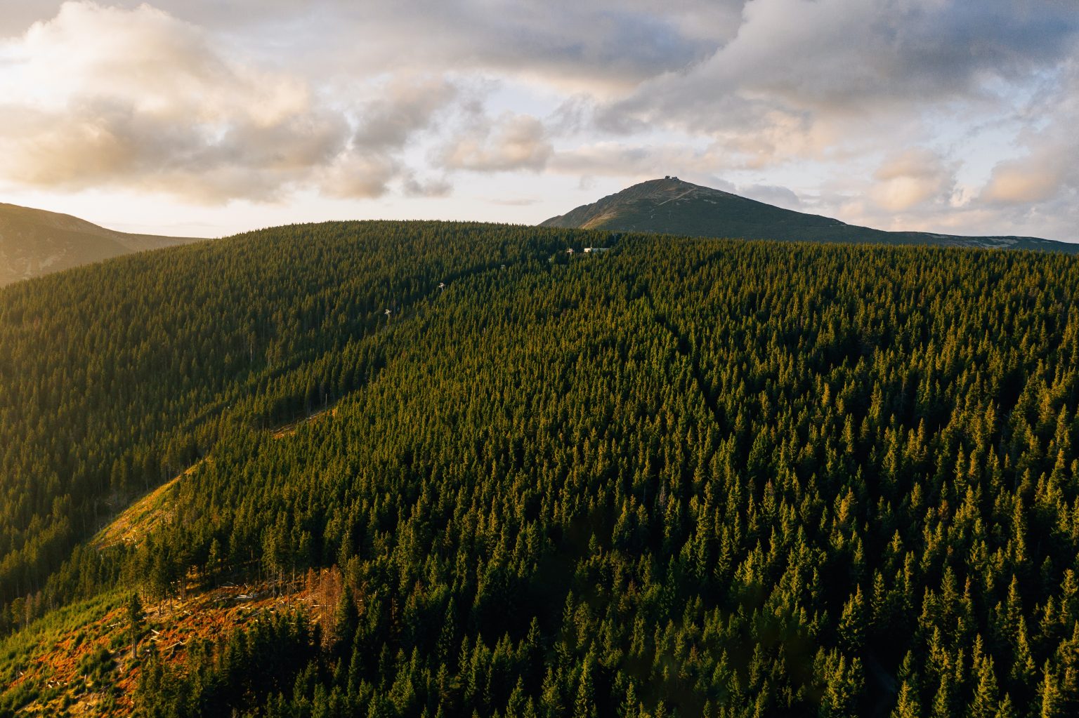 Could you live in an eco-pod? aerial view of forest