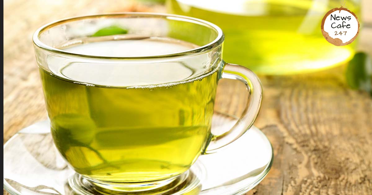 Green Tea and Green coffee | Do they really work? - News Anyway