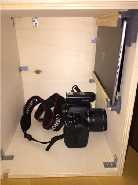 Own Diy Photo Booth For Lockdown