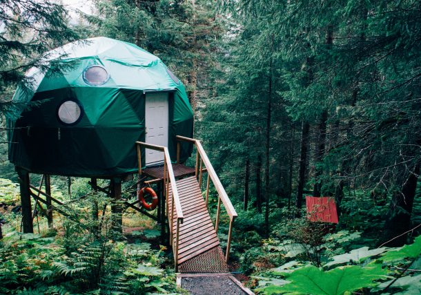 green dome near brown wooden dock near green leaved trees