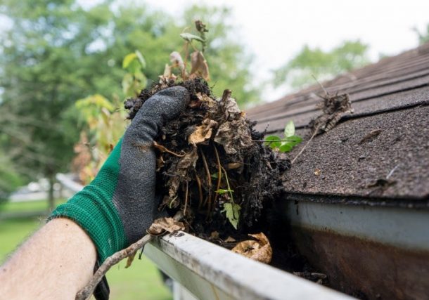 A professional cleaning the gutter.