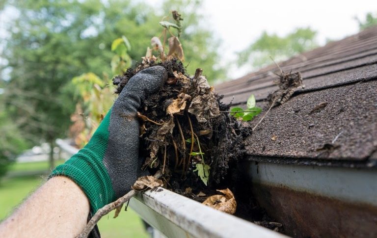 A professional cleaning the gutter.