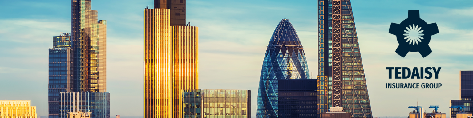 Two new appointments to Tedaisy Insurance Group’s senior management team