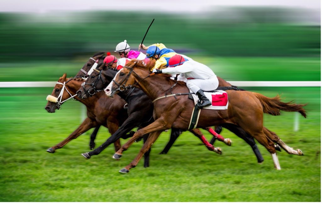 Last three winners of the Prix de la Forêt