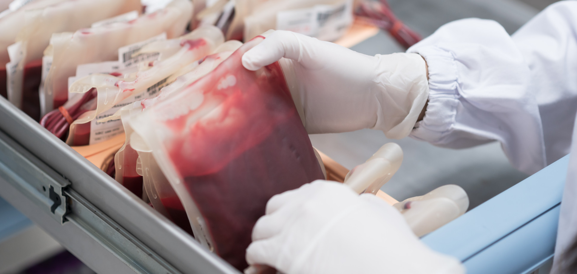 A storage compartment with blood bags at a blood bank.