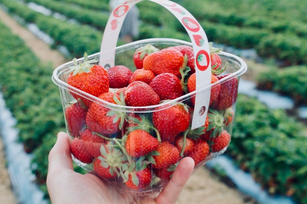 Punnet strawberries
