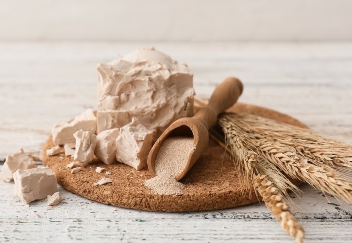 Fresh and dried baker's yeast