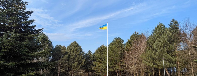 Ukraine-flag-at-Office.jpg (1)
