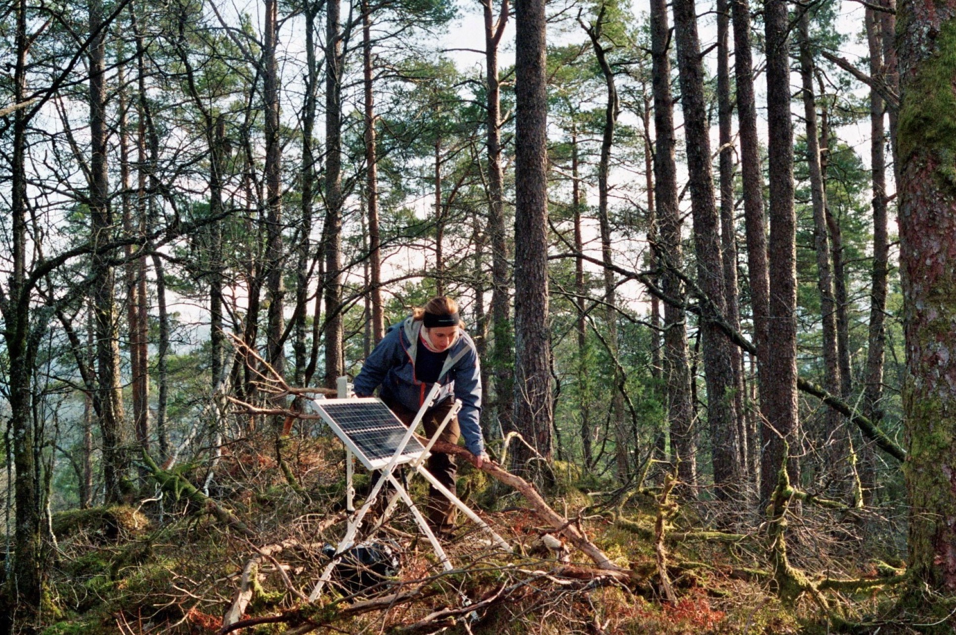 A woman setting up a solar panel among trees