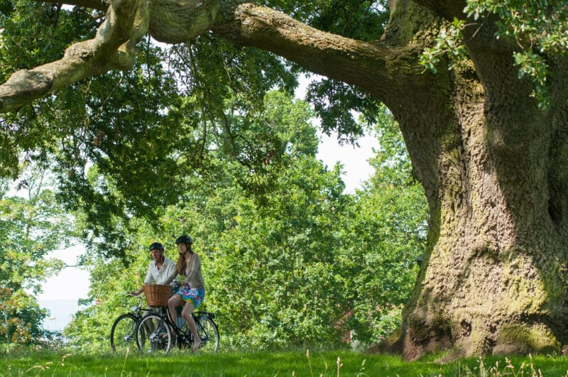Cyclists in countryside