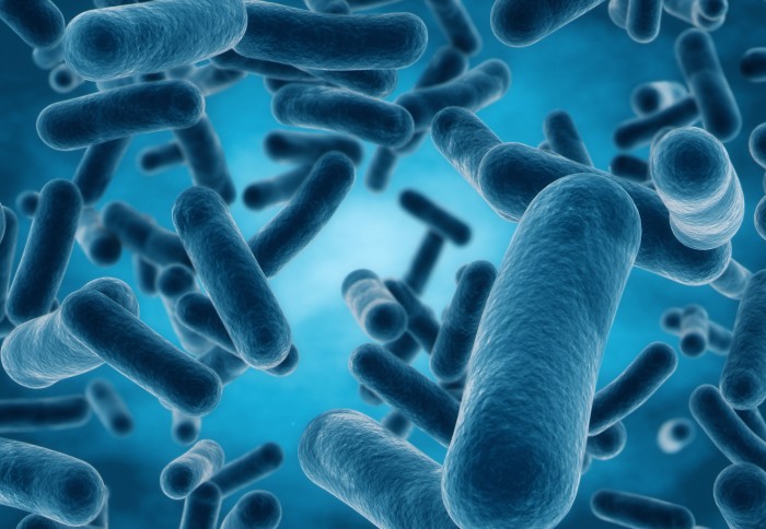 A 3D CGI depiction of bacteria
