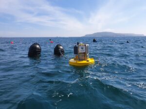 5G connected aquaculture buoy