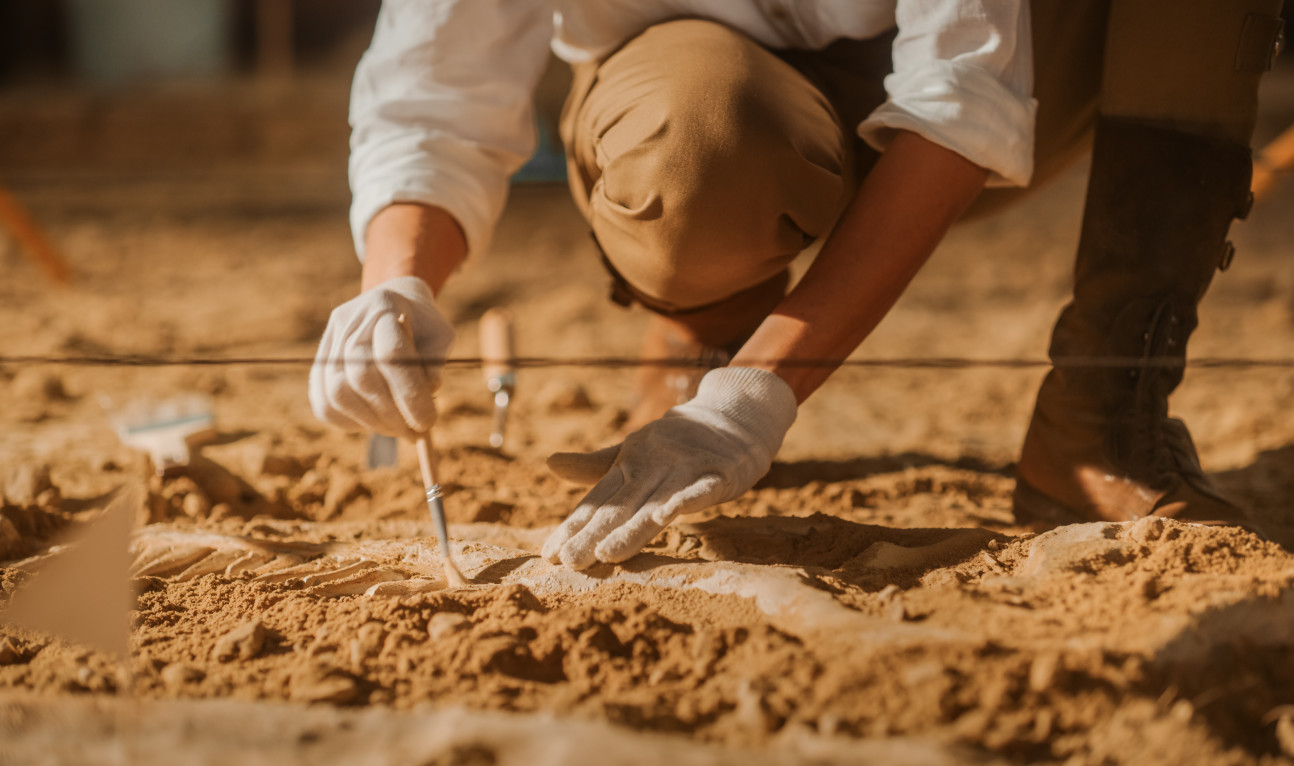 An image of a person working at an excavation site.