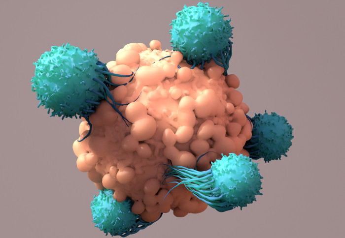 3D render of T-cells targeting a cancer cell