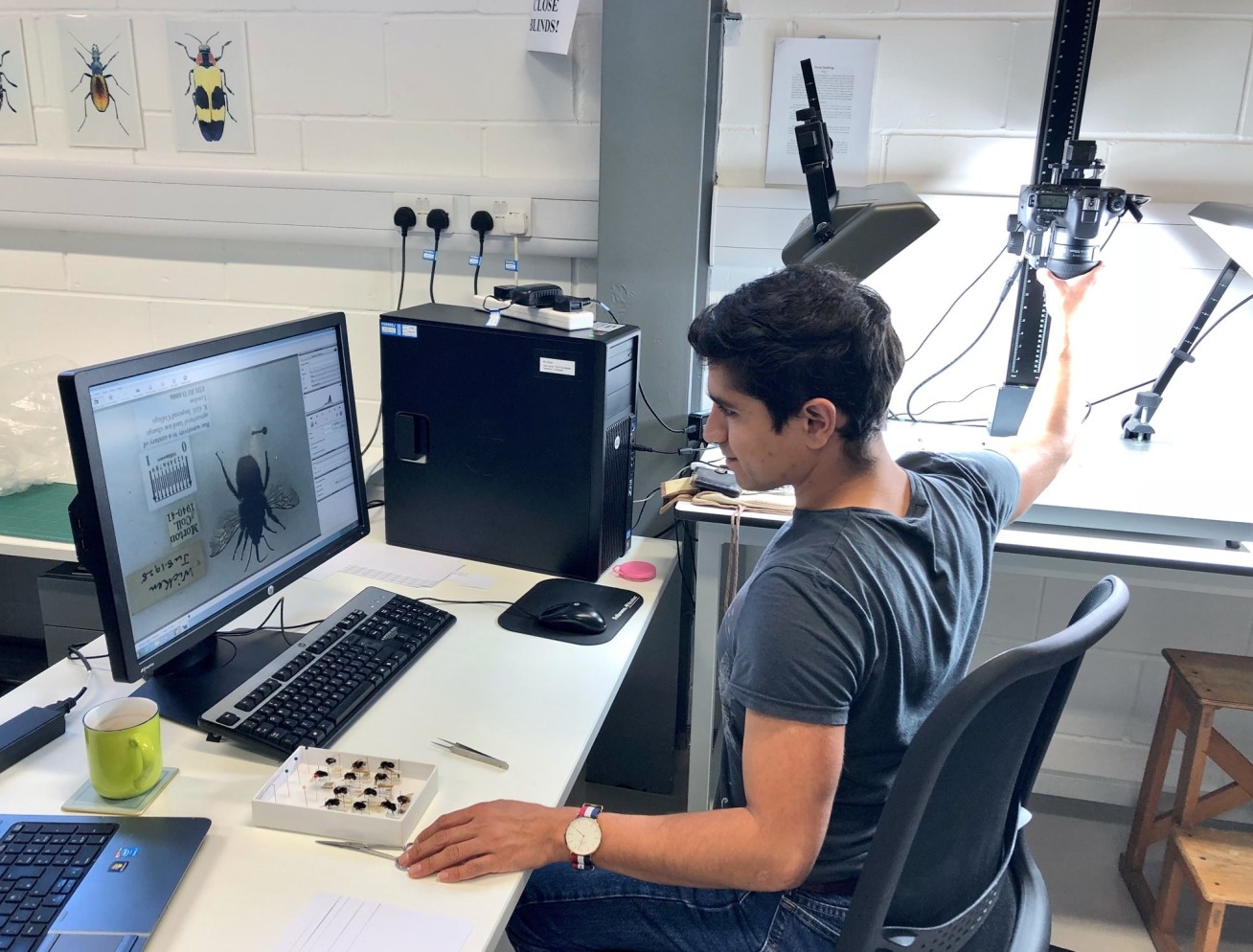 A scientist adjusts an overhead camera while looking at a screen with a bee on it. A tray of bees sits on his desk