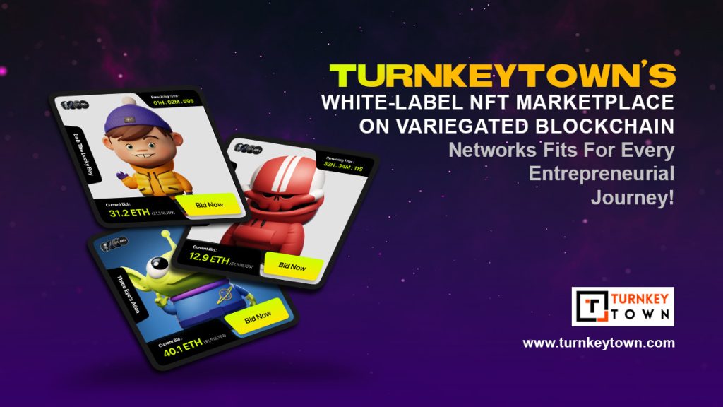 TurnkeyTown’s White-Label NFT Marketplace On Variegated Blockchain Networks Fits For Every Entrepreneurial Journey!