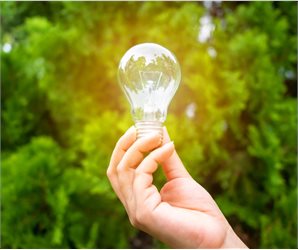 Hand holding a lightbulb in front of tree.