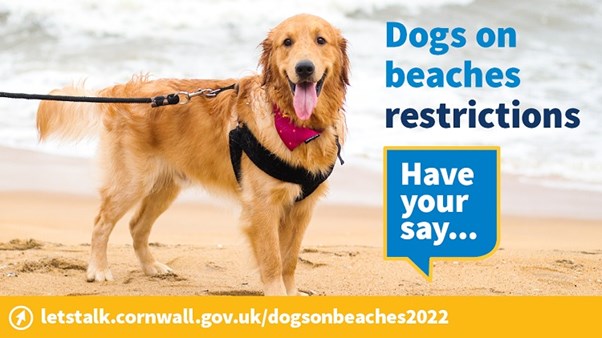 Dogs on beaches consultation