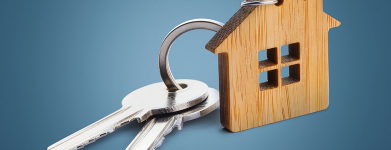 two keys on keyring.jpg