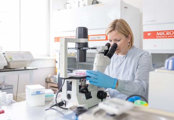 scientist looking at microscope