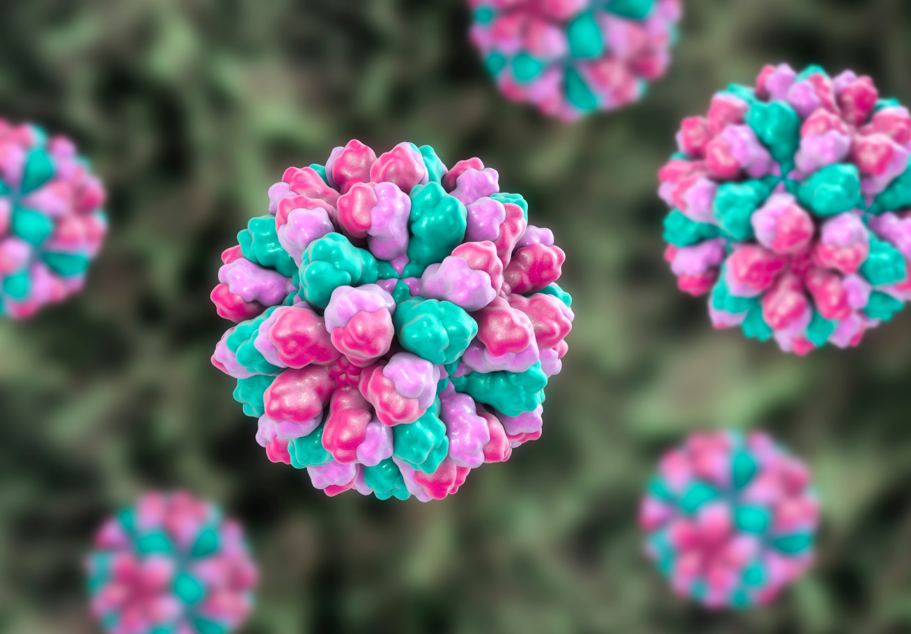 Norovirus CGI image.