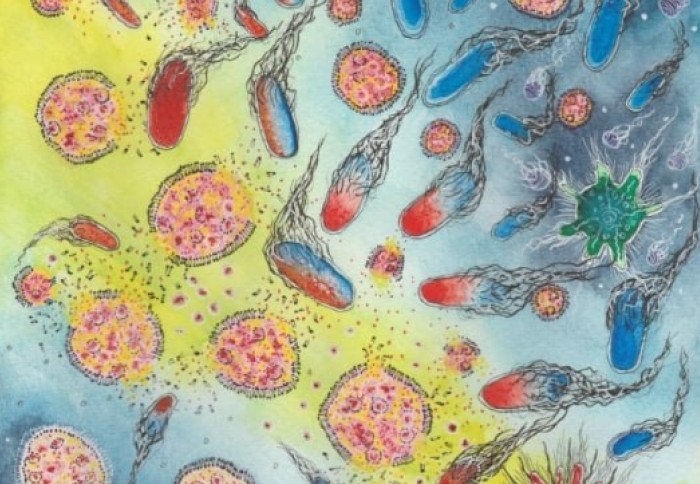 An illustration showing different types of cells in the body.