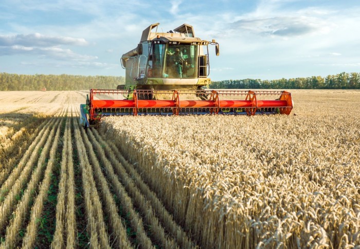 harvesting