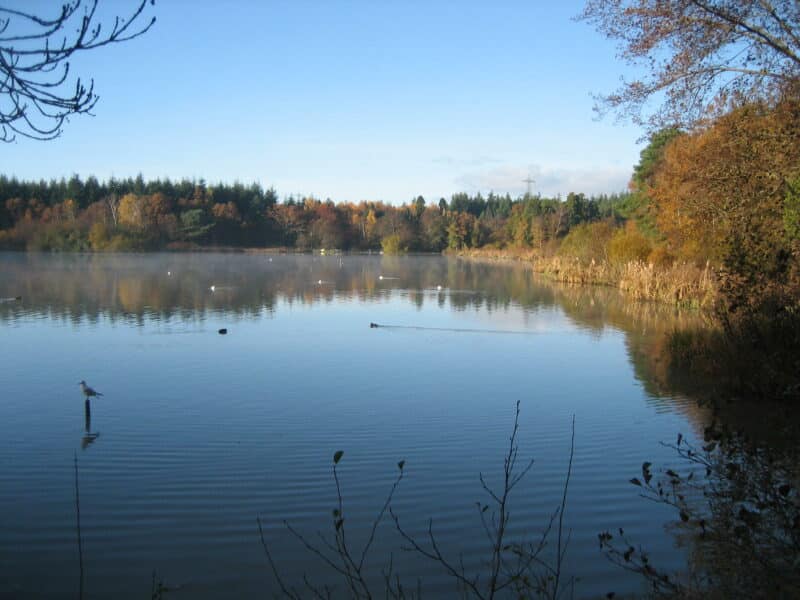 Stover Country Park takes action for nature thanks to £2.5million Heritage Fund grant News Anyway