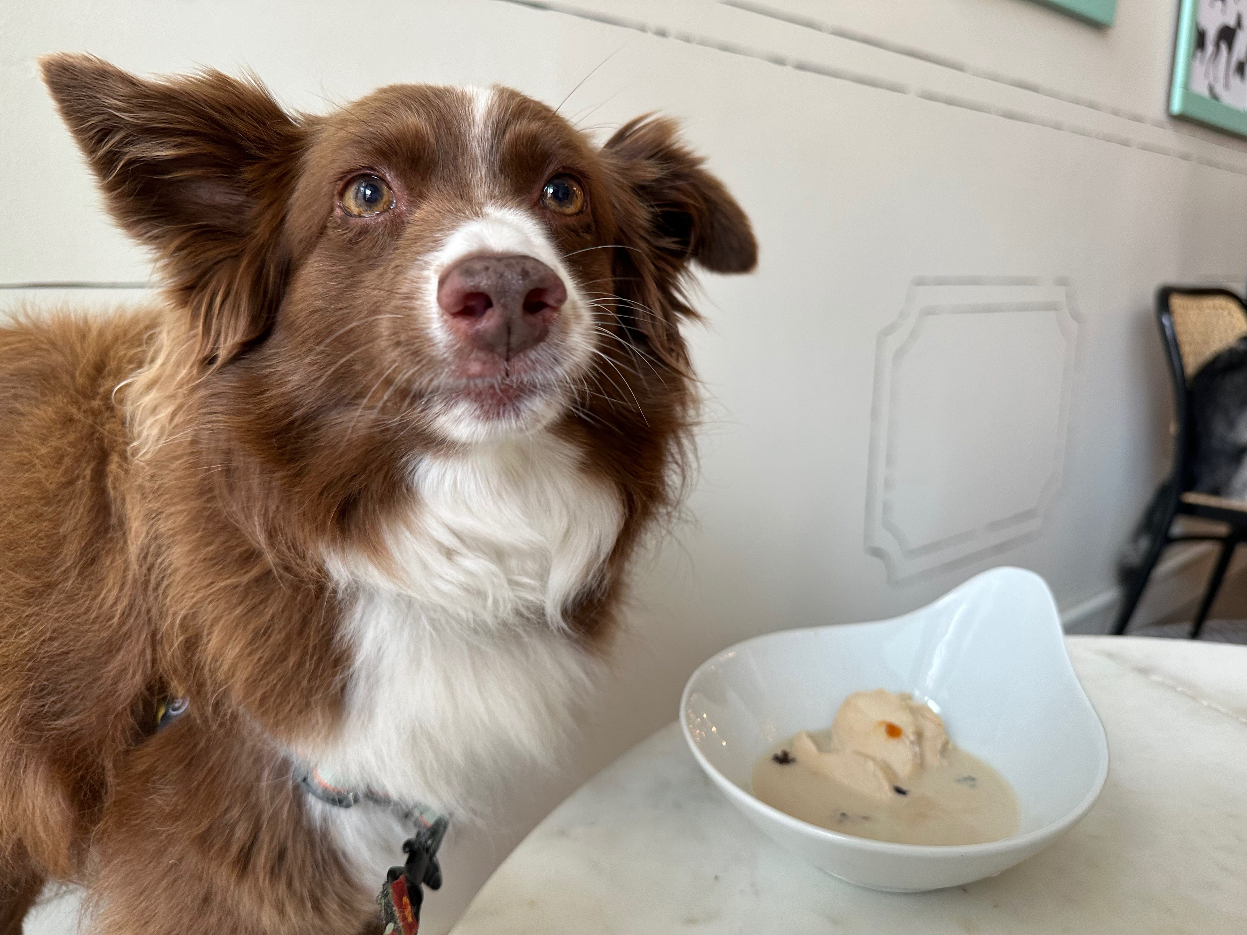 Heidi asks for permission to eat food from the table.