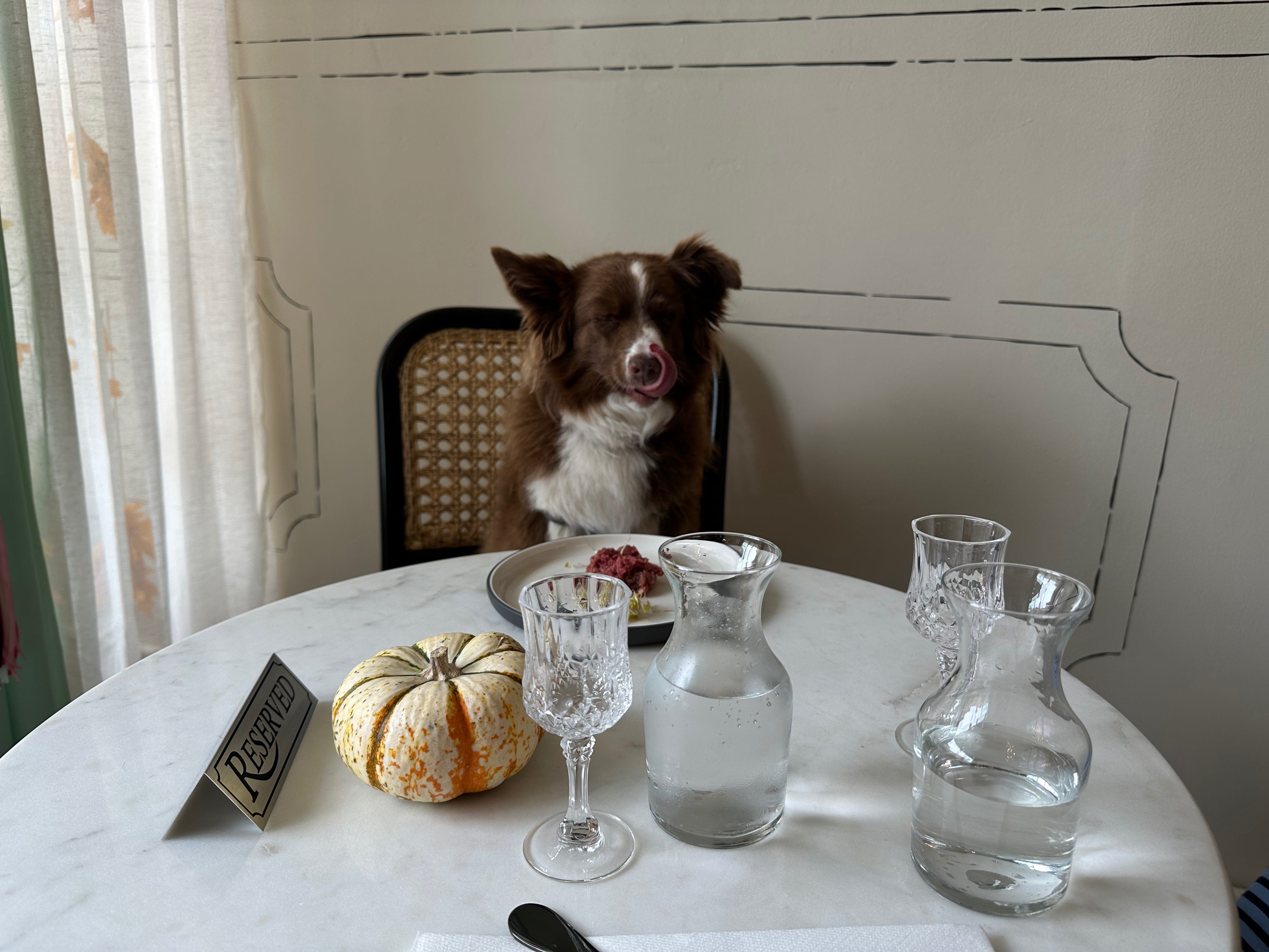 Heidi enjoying her lunch.