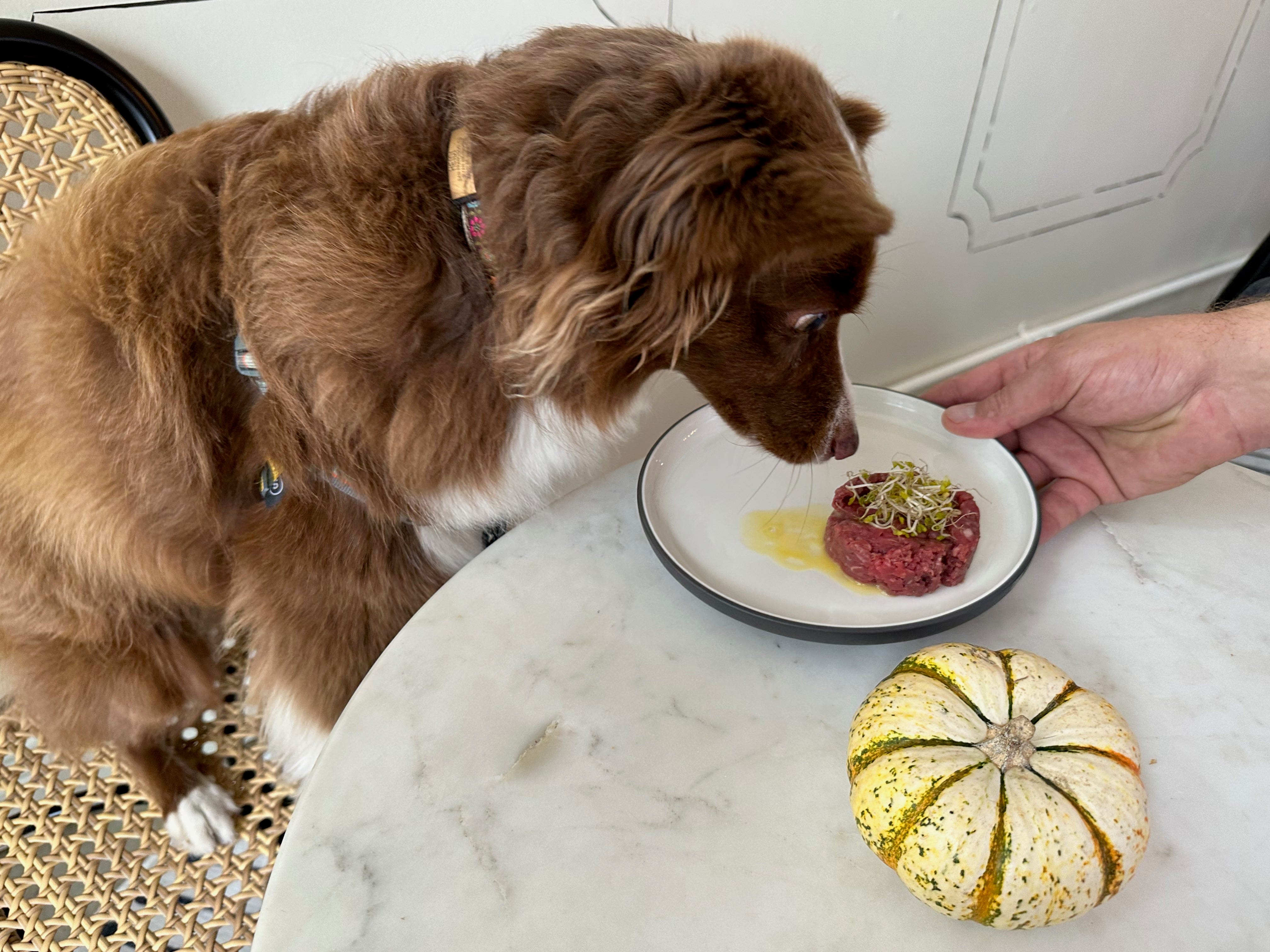 Heidi examines some raw filet with quail egg.