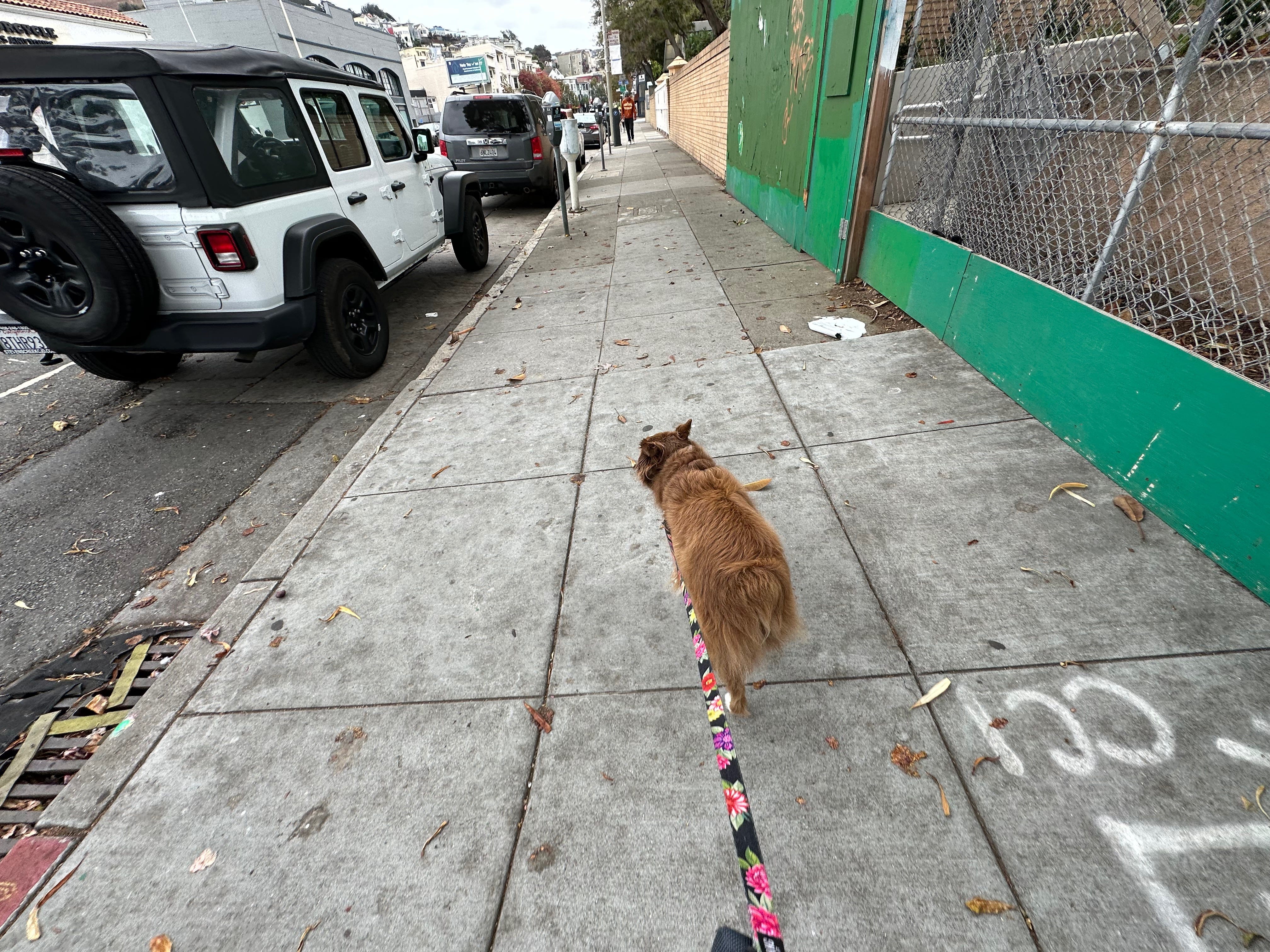 An energetic Heidi walks home.