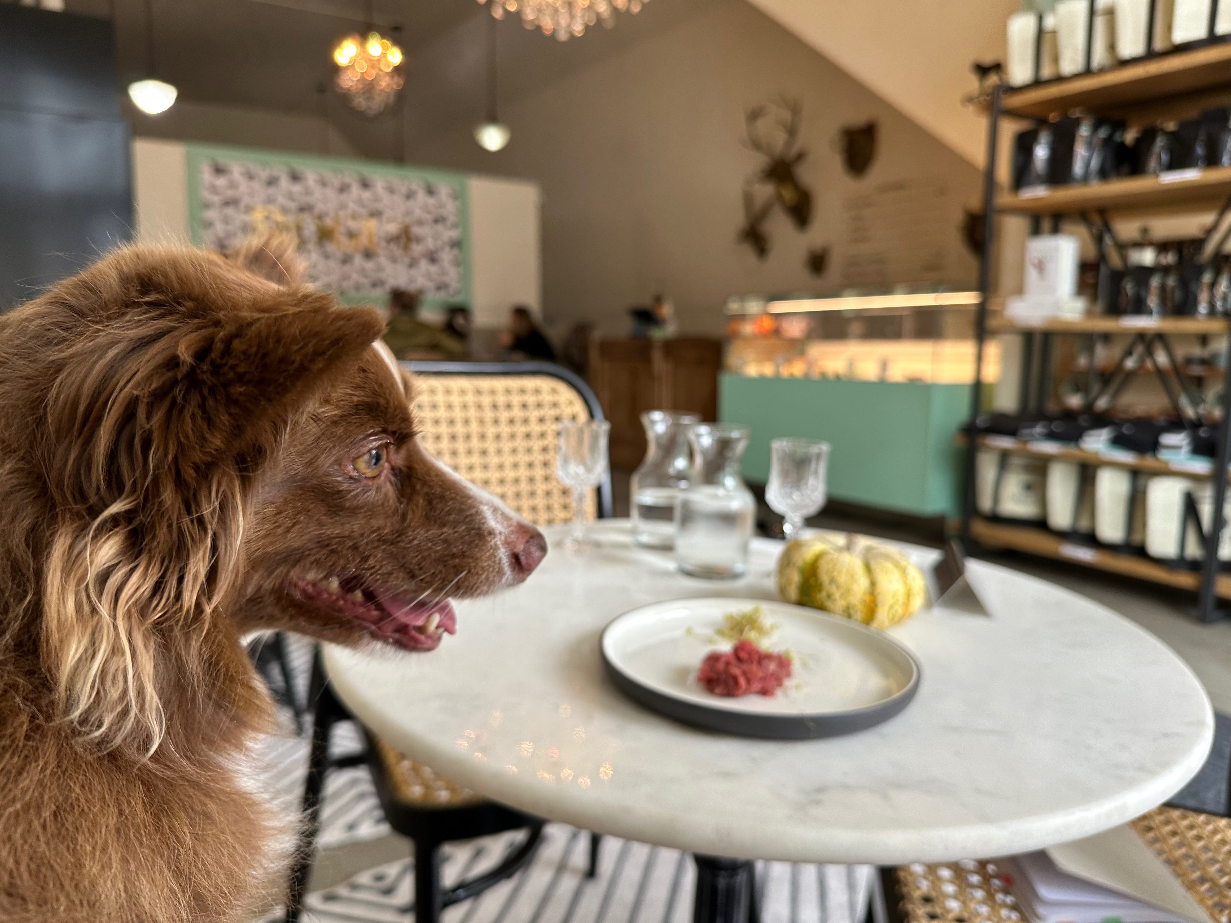 Cafe seating at Dogue.