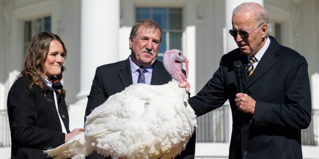 Biden Pardons 2 Turkeys, Offers Thanks for ‘No Poll Stuffing’