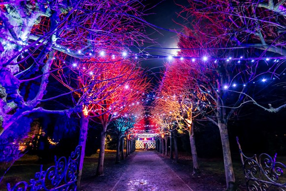 Festive cheer aplenty as the most wonderful time of the year returns to Leeds - News Anyway