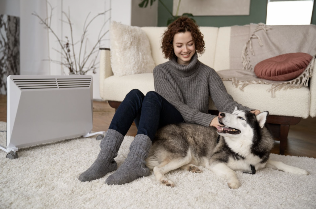 The Best PetFriendly Rugs to Withstand Shedding, Accidents and