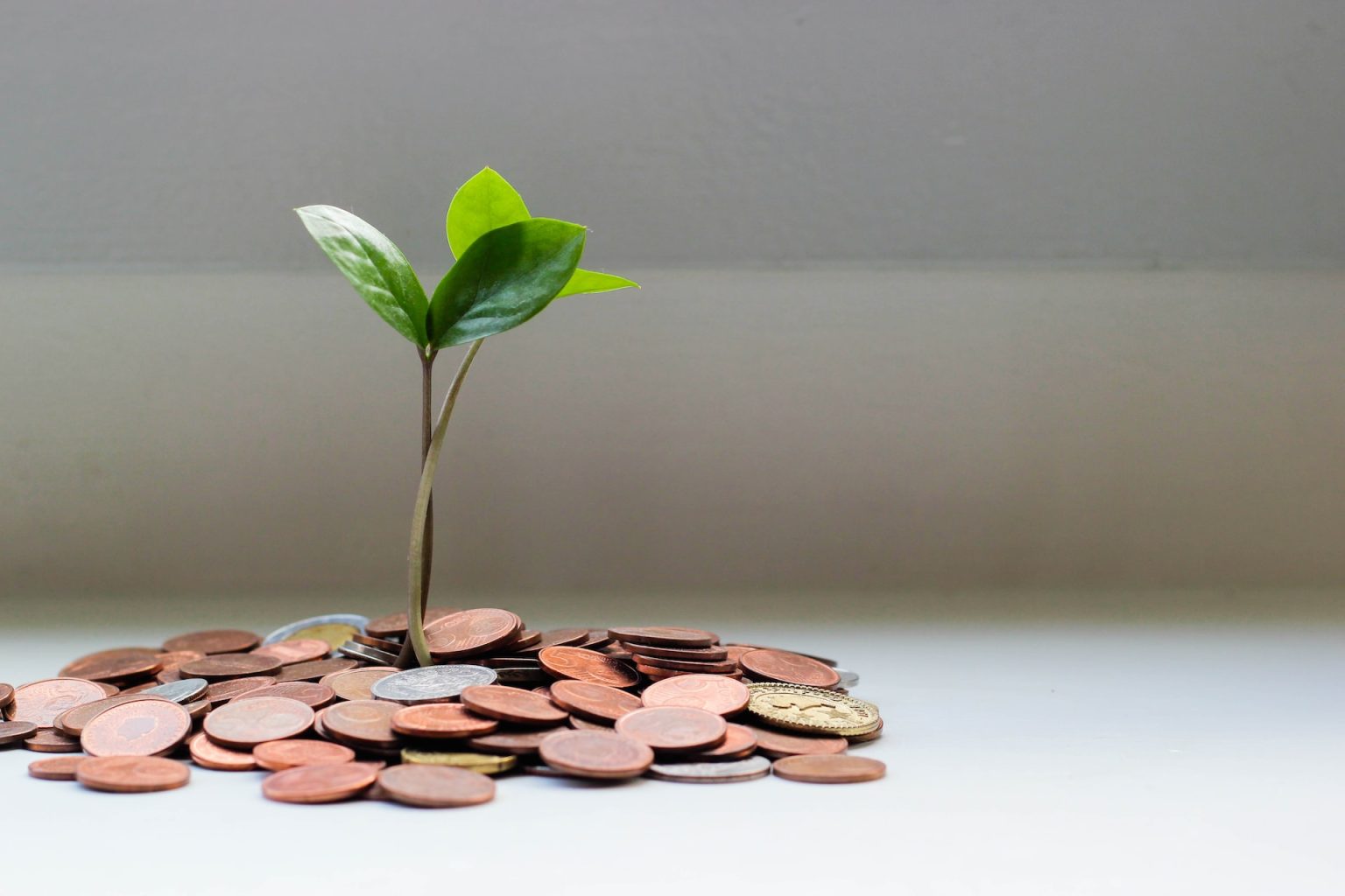 Impact Investing: Investing for a Sustainable Tomorrow