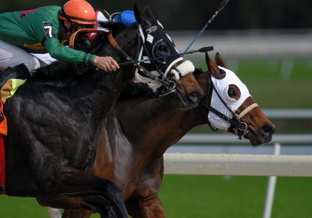 Cheltenham Festival 2024: Who could win the championship races?