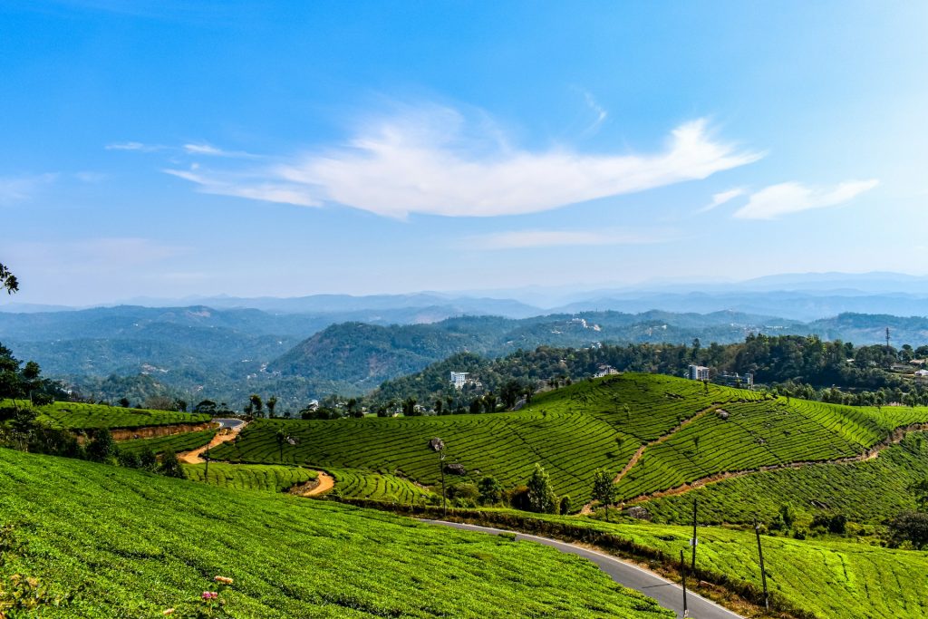 Top Travel Tips for a Fun Holiday in Munnar