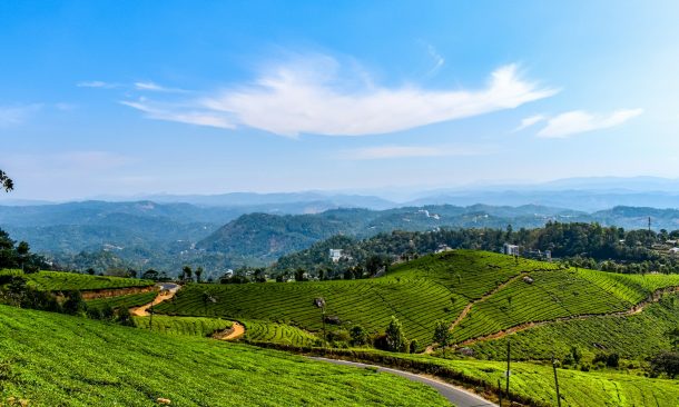 Top Travel Tips for a Fun Holiday in Munnar