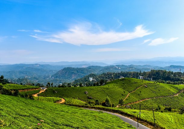 Top Travel Tips for a Fun Holiday in Munnar