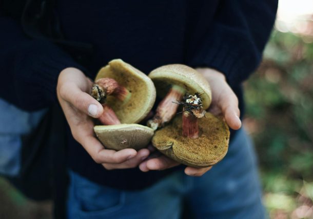 Psilocybin Associated with Improved Sexual Function, UK Researchers Find