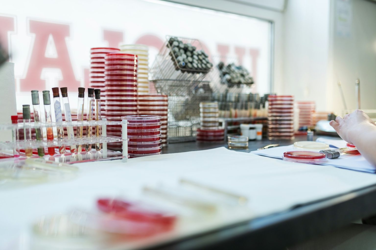 Professor Pierluigi Rossi Ferrini: A Pioneer in Hematology and Fundraising for Medical Research Professor Pierluigi Rossi Ferrini: A Pioneer in Hematology and Fundraising for Medical Research