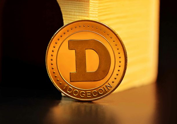 Decoding Dogecoin: Investing within the Memecoin Phenomenon
