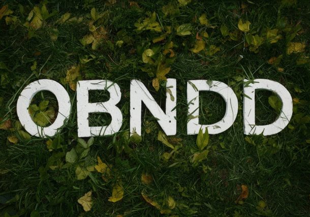 OBNDD Renewal: Key Information for Professionals