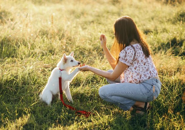 Need Emotional Support in Recovery? These Animals Have Your Back