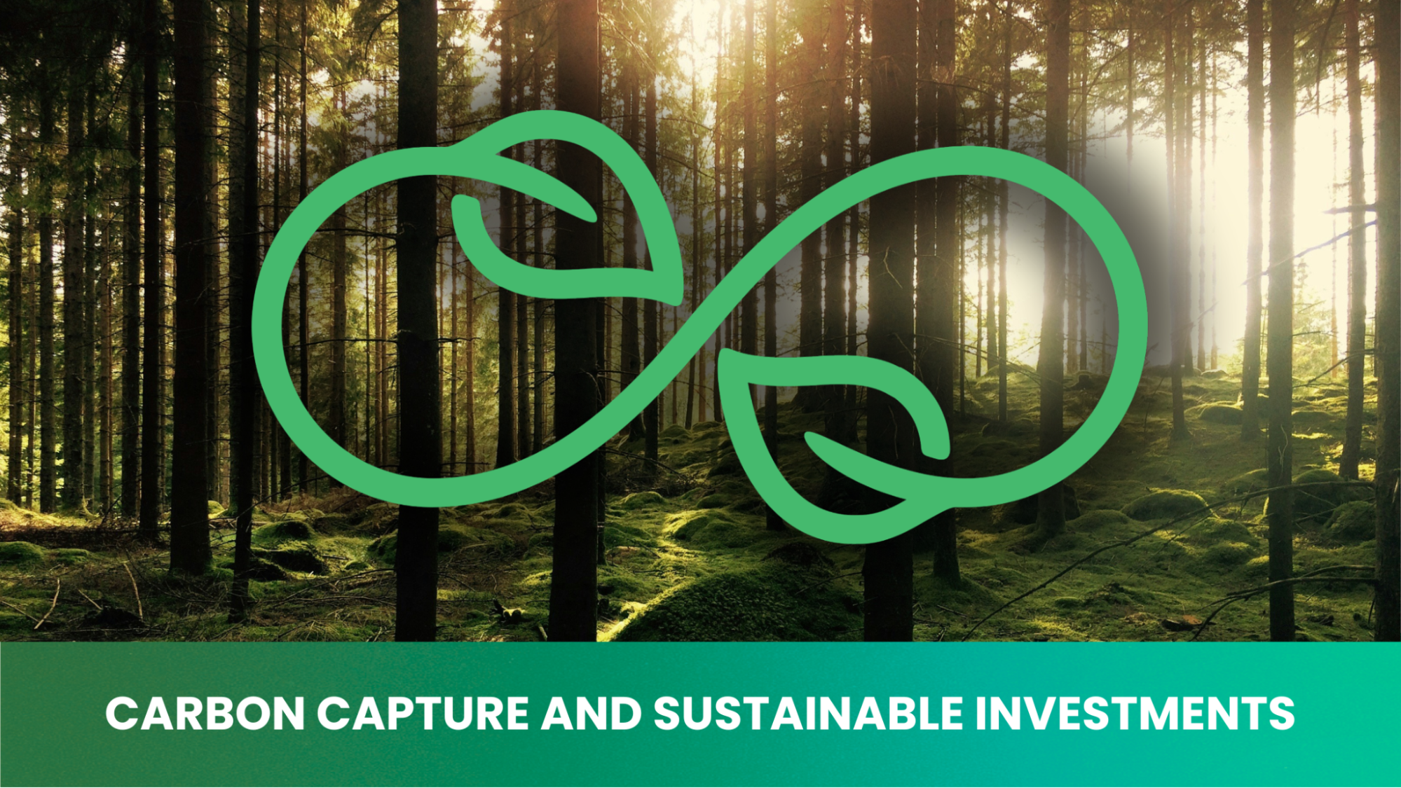 Sara Qazi: A Pioneering Financial Leader Advocating for Carbon Capture and Sustainable Investments