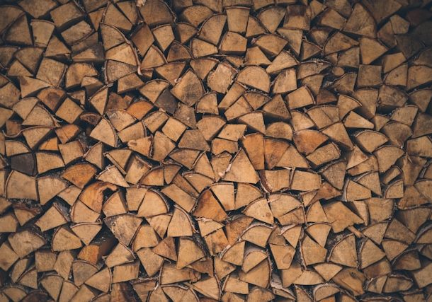 Seasoned vs. Kiln-Dried Firewood: What’s the Difference?